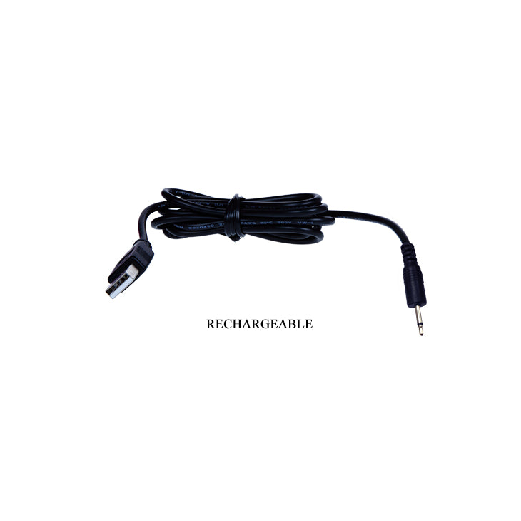 Pretty Love Paul Usb Wand Rechargeable