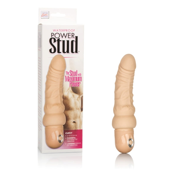 Power Stud Curvy W/p