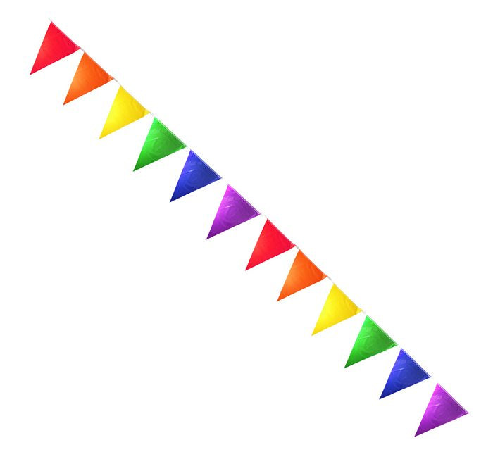 Rainbow Solid Pennants