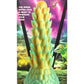 Creature Cocks Stegosaurus Spiky Reptile Dildo