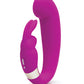 Happy Rabbit G-spot Clitoral Curve Vibrator Purple