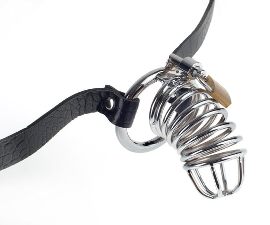 Fetish Fantasy Extreme Chastity Belt