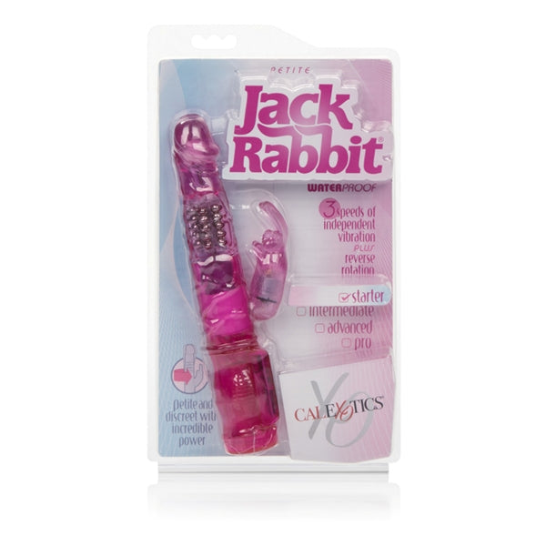 Petite Jack Rabbit
