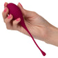 Kegel Training 5 Pc Set