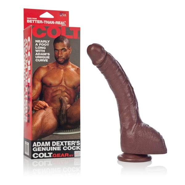 Colt Adam Dexter Dong