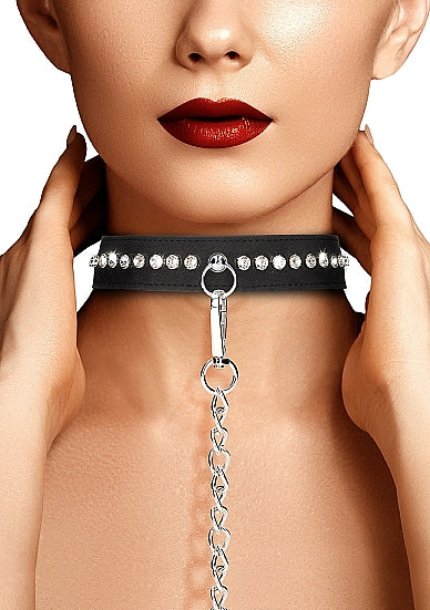 Diamond Studded Collar W/ Leash