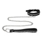 Diamond Studded Collar W/ Leash