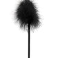 Feather Tickler