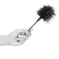 Feather Tickler