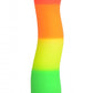 Strap U Proud Rainbow Silicone Dildo W/ Harness