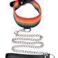 Master Series Kinky Pride Rainbow Bondage Set