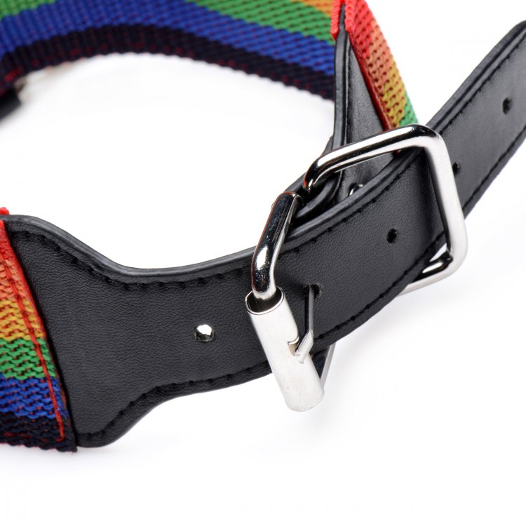 Master Series Kinky Pride Rainbow Bondage Set